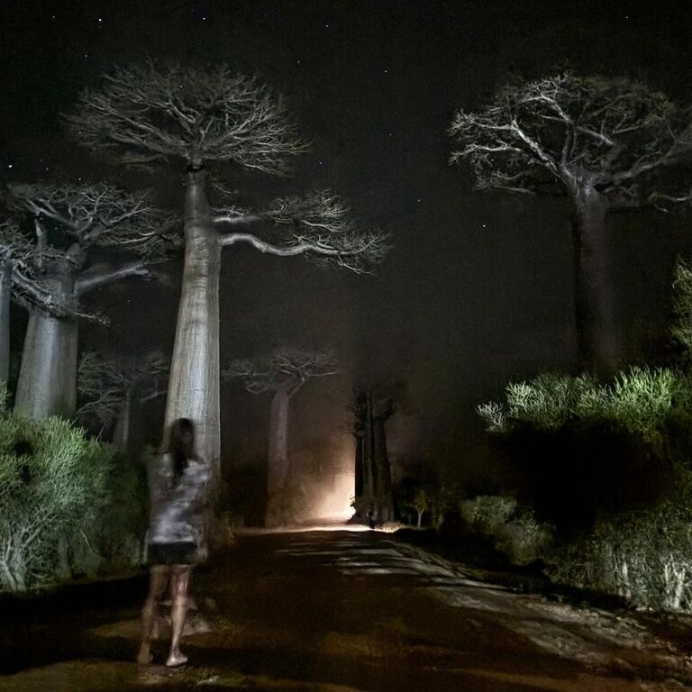 TSINGY TOUR MADAGASCAR