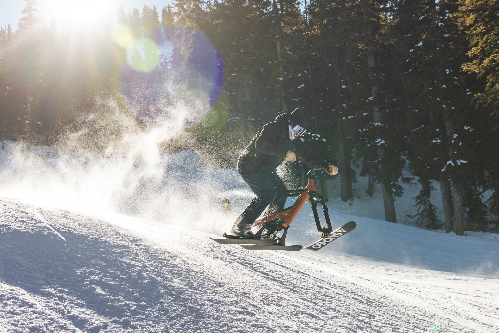 Aspen Ski Bike