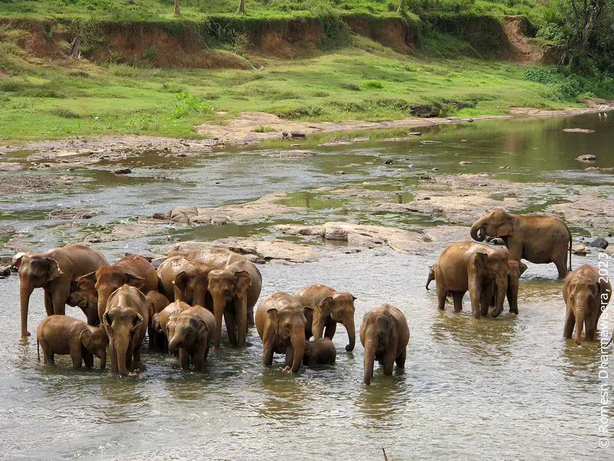 srilanka-roundtrip.com