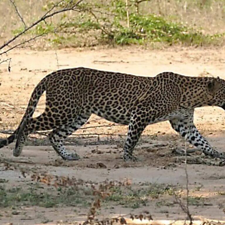srilanka-roundtrip.com