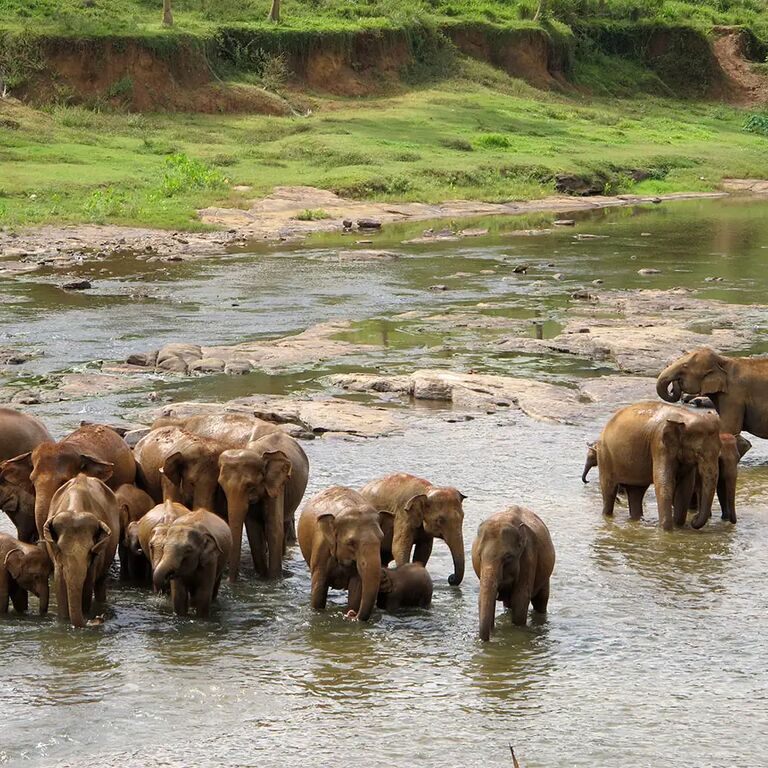 srilanka-roundtrip.com