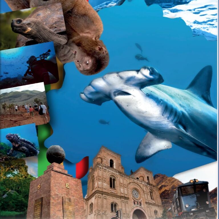 Visiting Galapagos