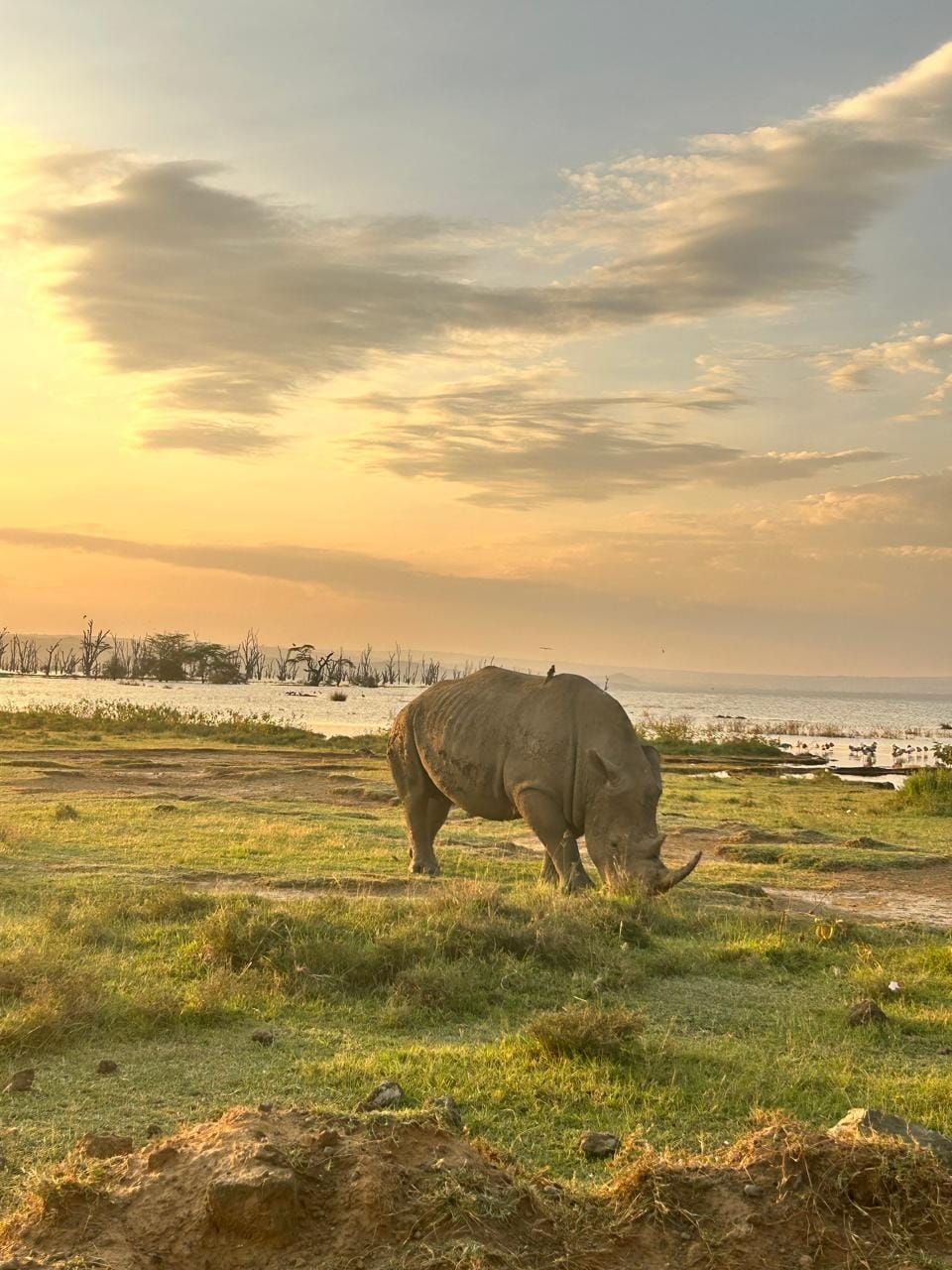 Zanzi African Safaris