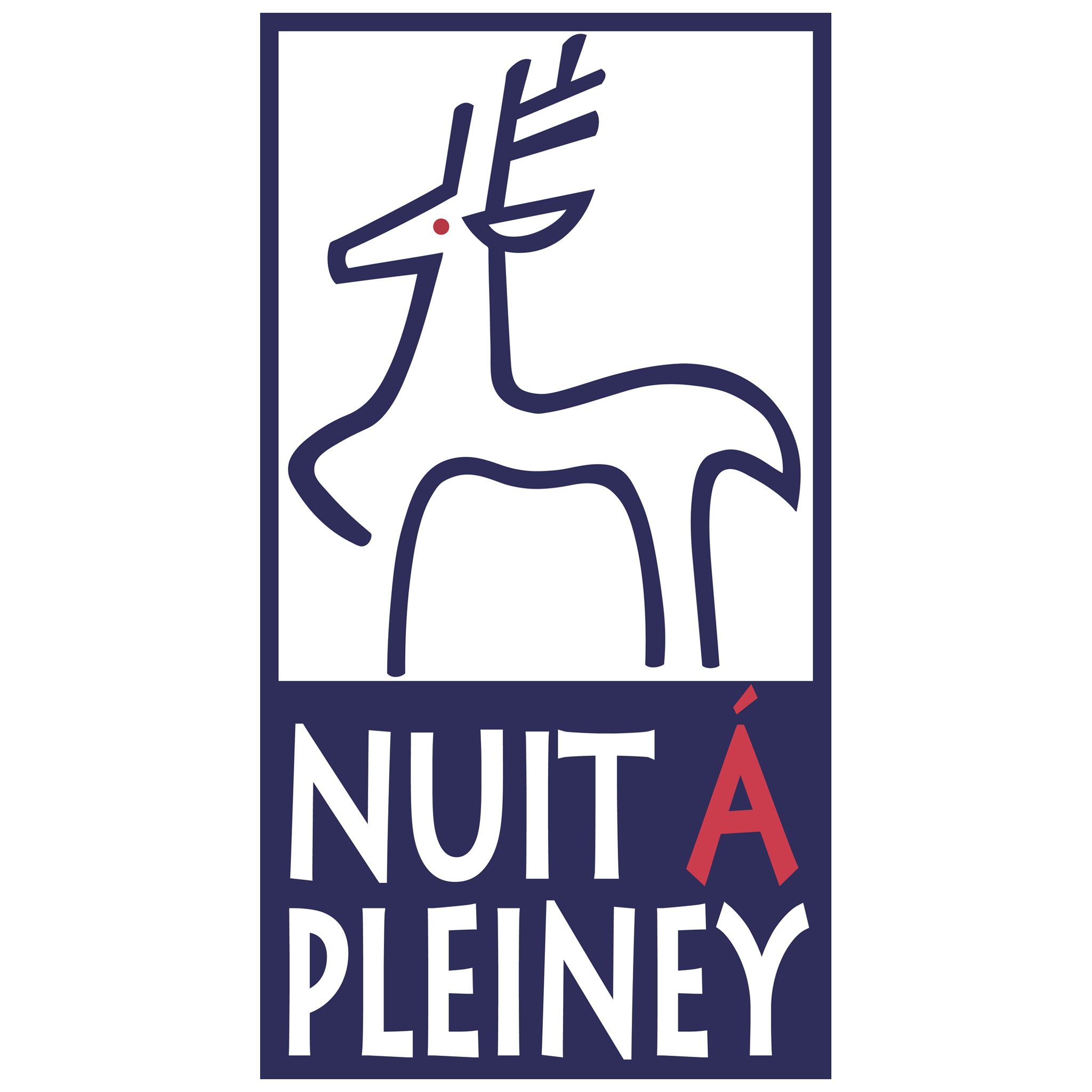 Nuit a Pleiney