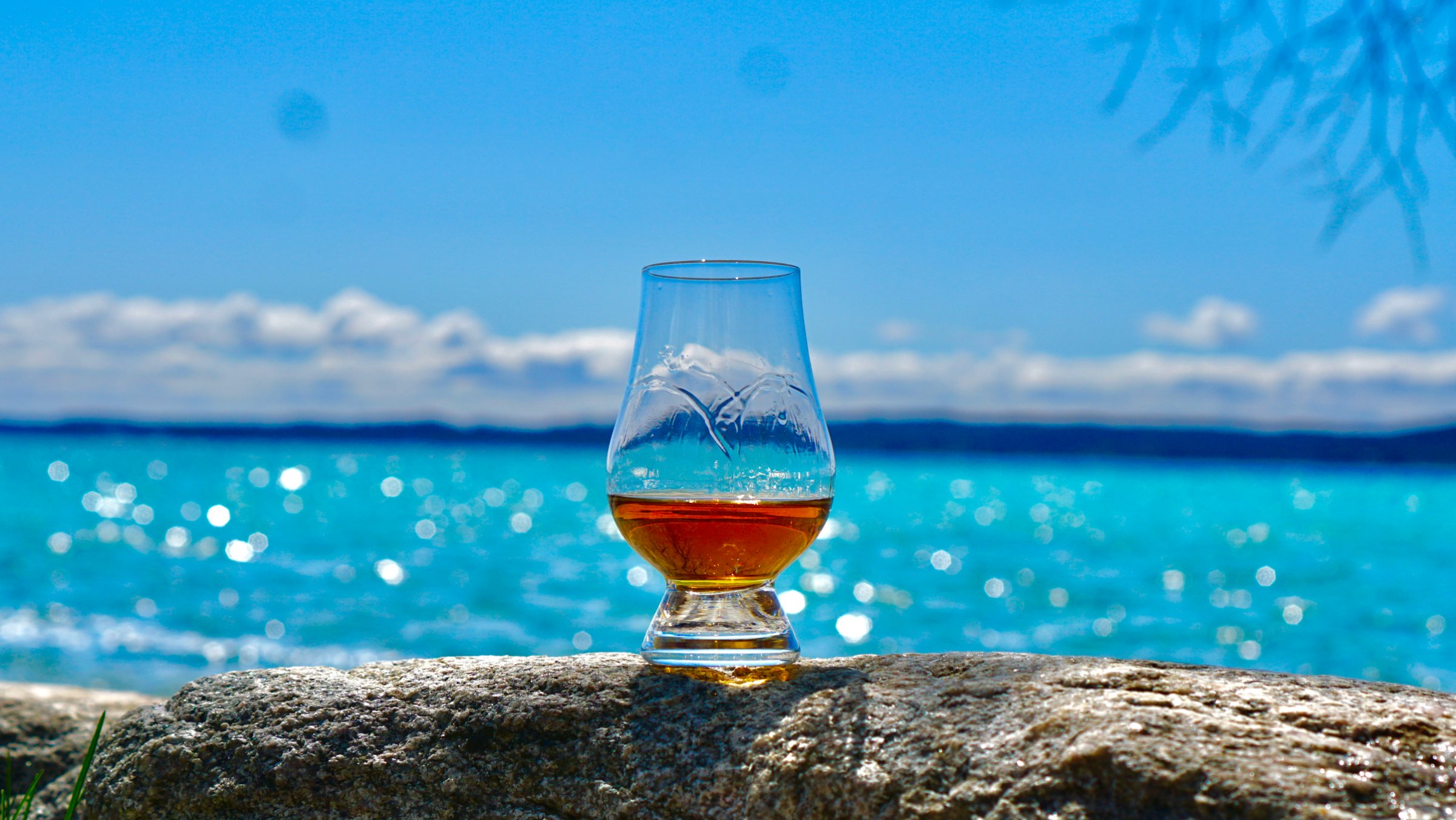 Ethanology Distillation