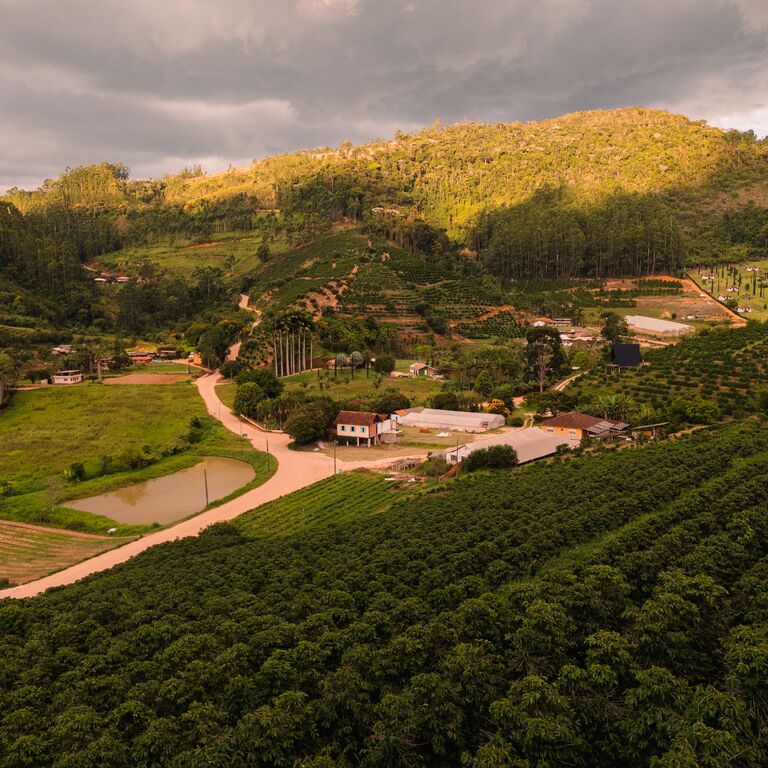 ZANDONADE CAFÉS ESPECIAIS