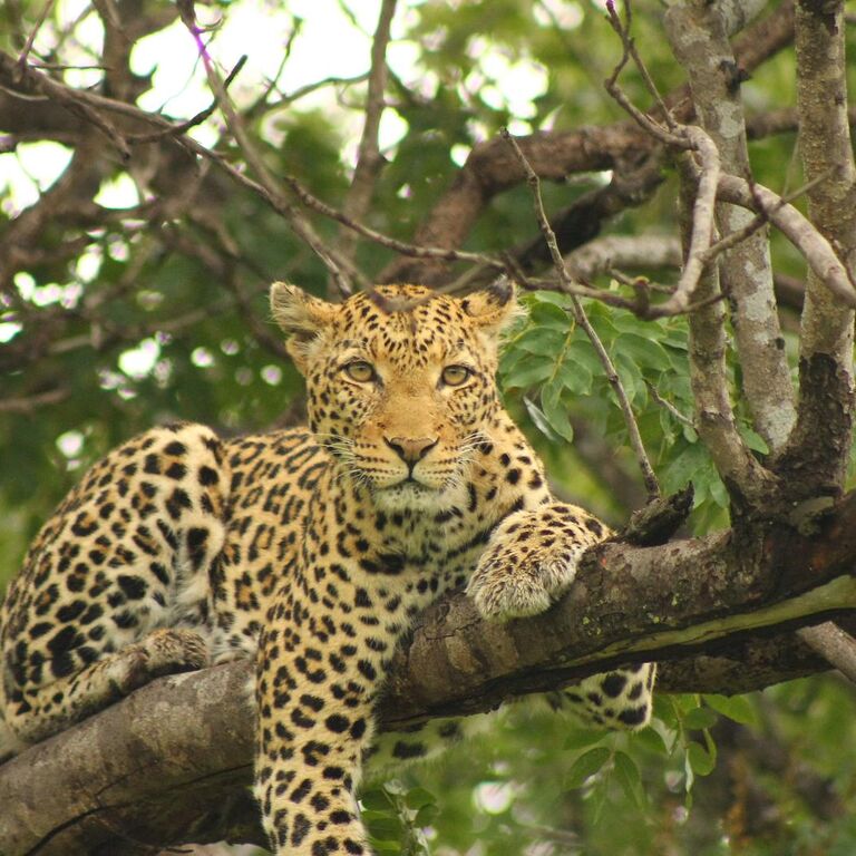 Amiable Tours and Safaris