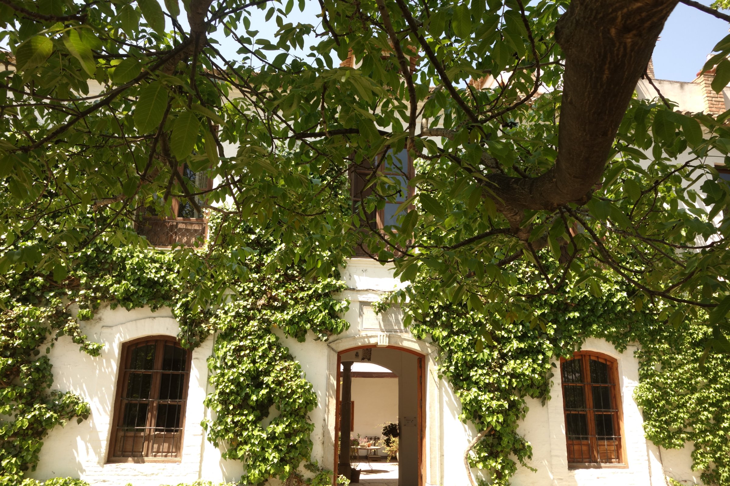 Cortijo del Pino