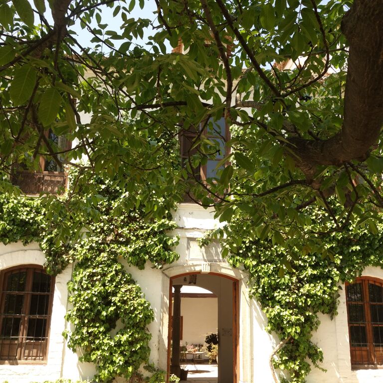 Cortijo del Pino