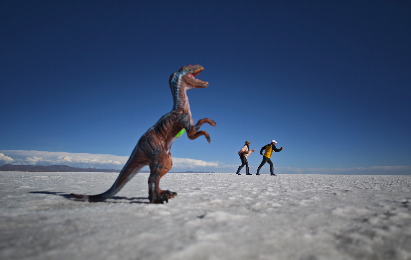 DREAMBOL TOURS