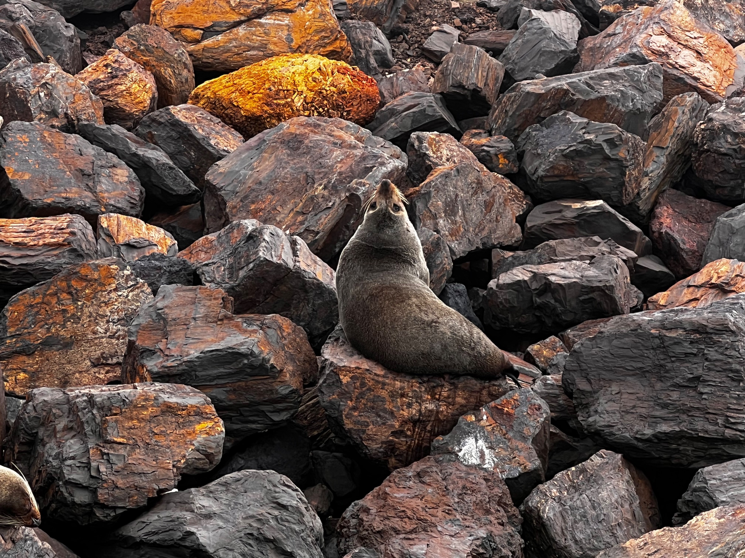 Spencer Gulf Adventures