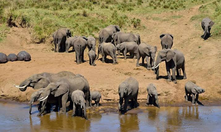 Outstanding Tanzania Safari