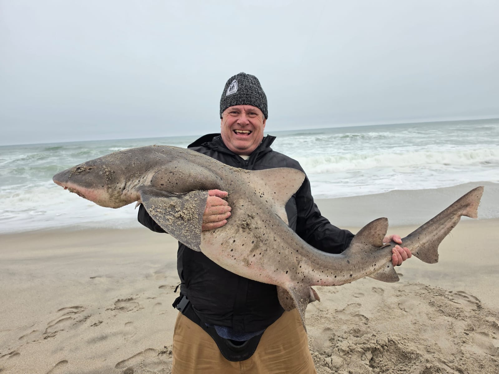Wildlife Adventures Tours