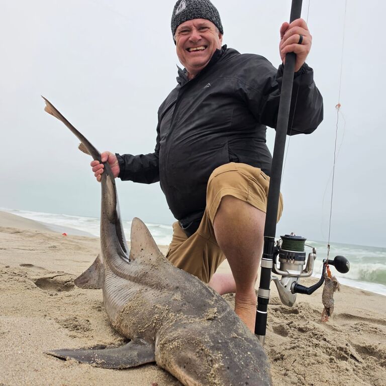 Wildlife Adventures Tours