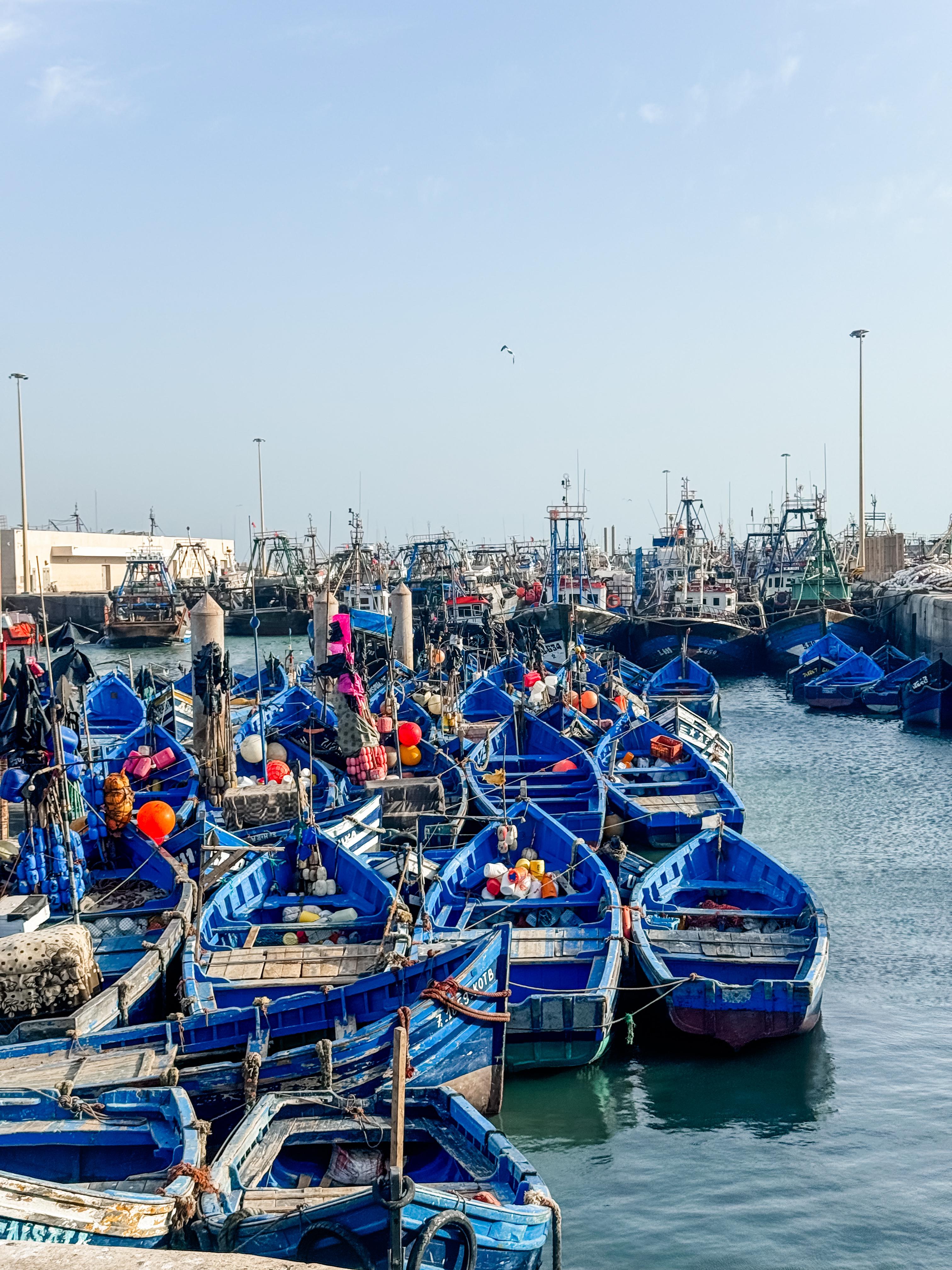 Sahara Brothers Tours