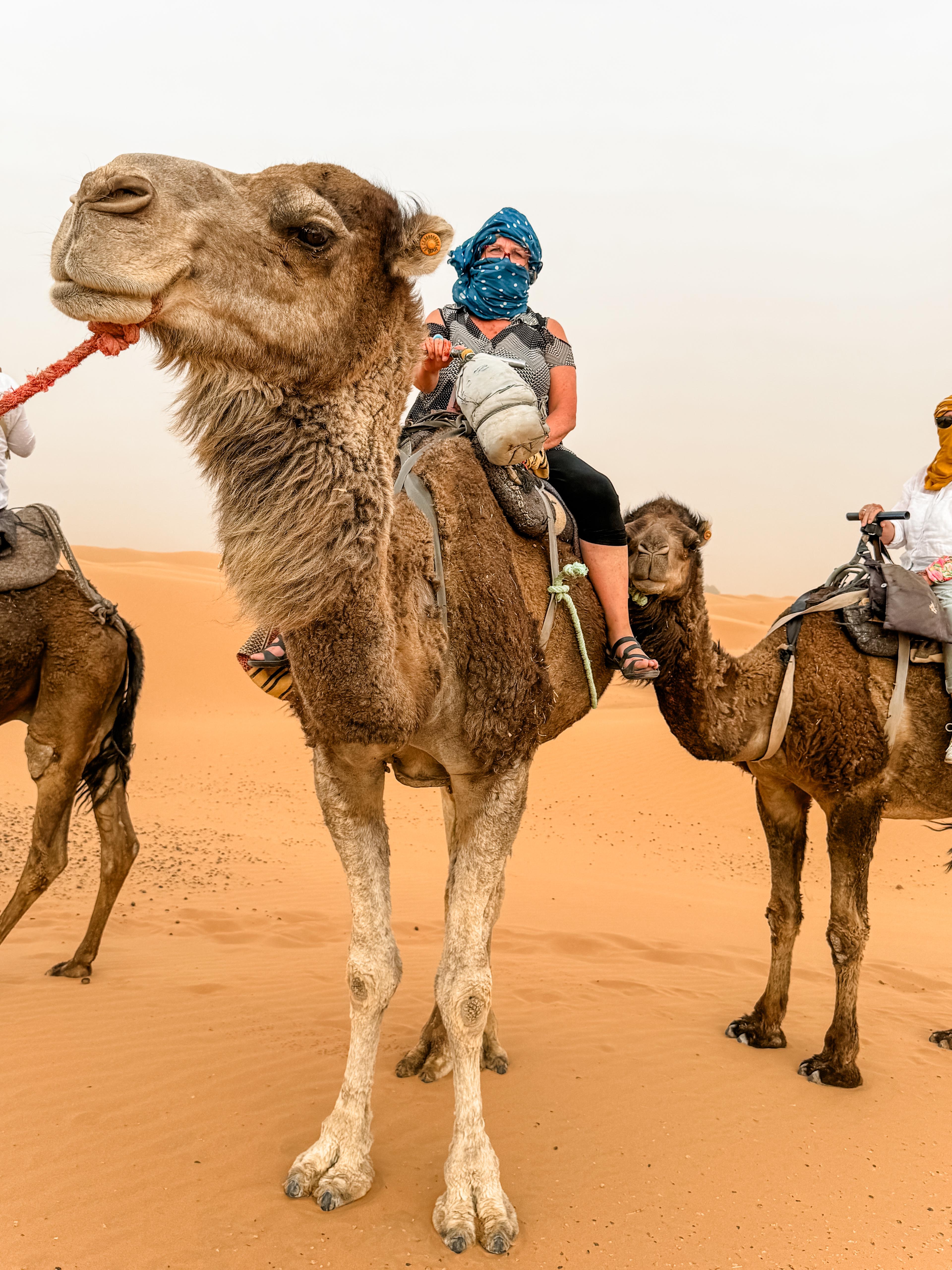 Sahara Brothers Tours