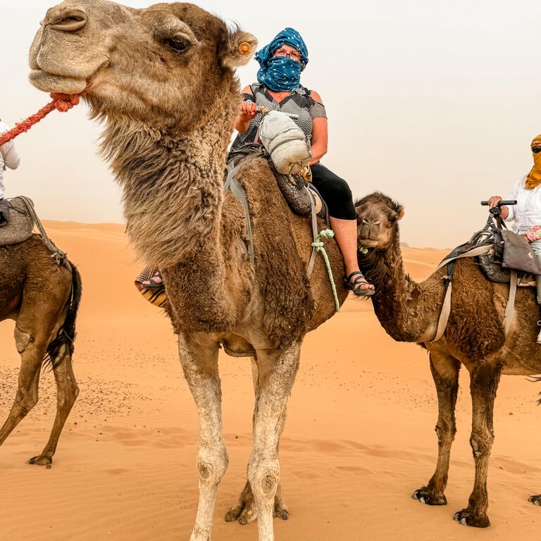 Sahara Brothers Tours
