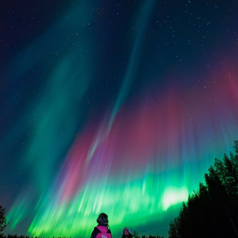 Wonderlapland Experiences