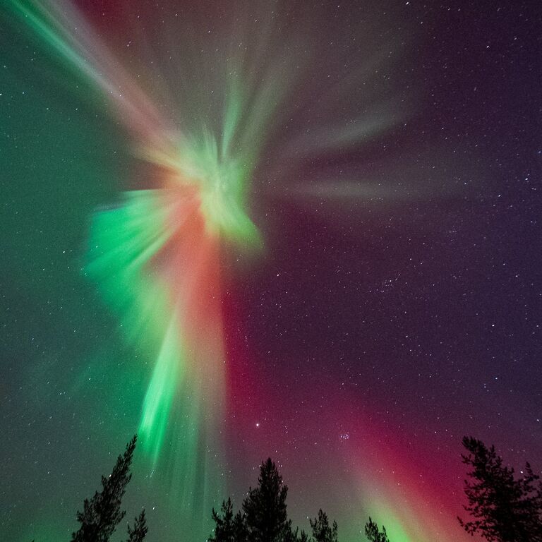 Wonderlapland Experiences