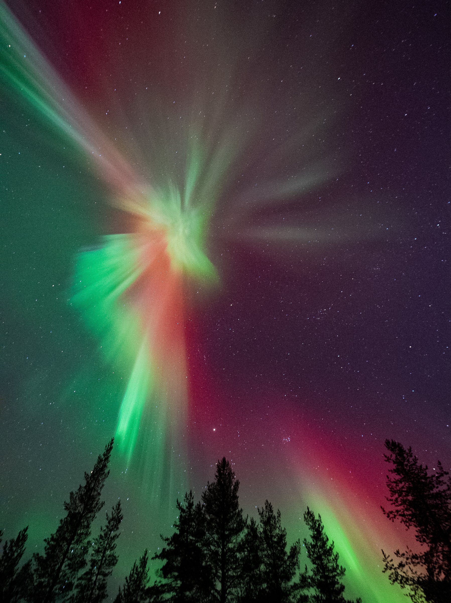 Wonderlapland Experiences