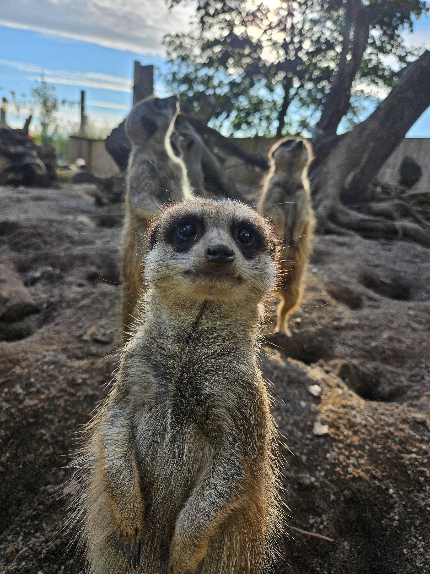 Lakeland Wildlife Oasis