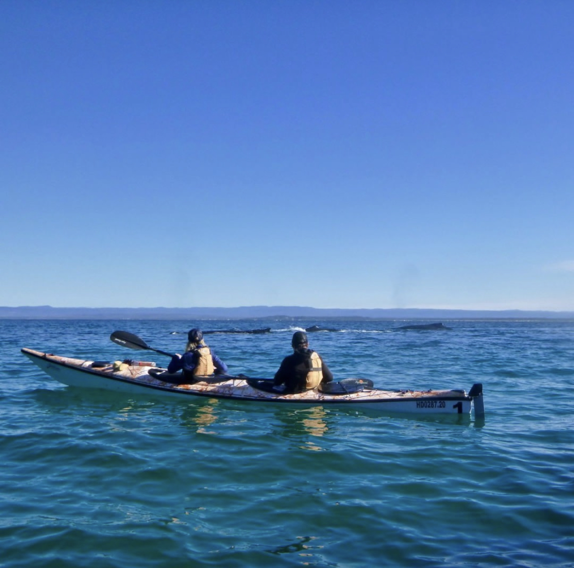 Sea Kayak Jervis Bay