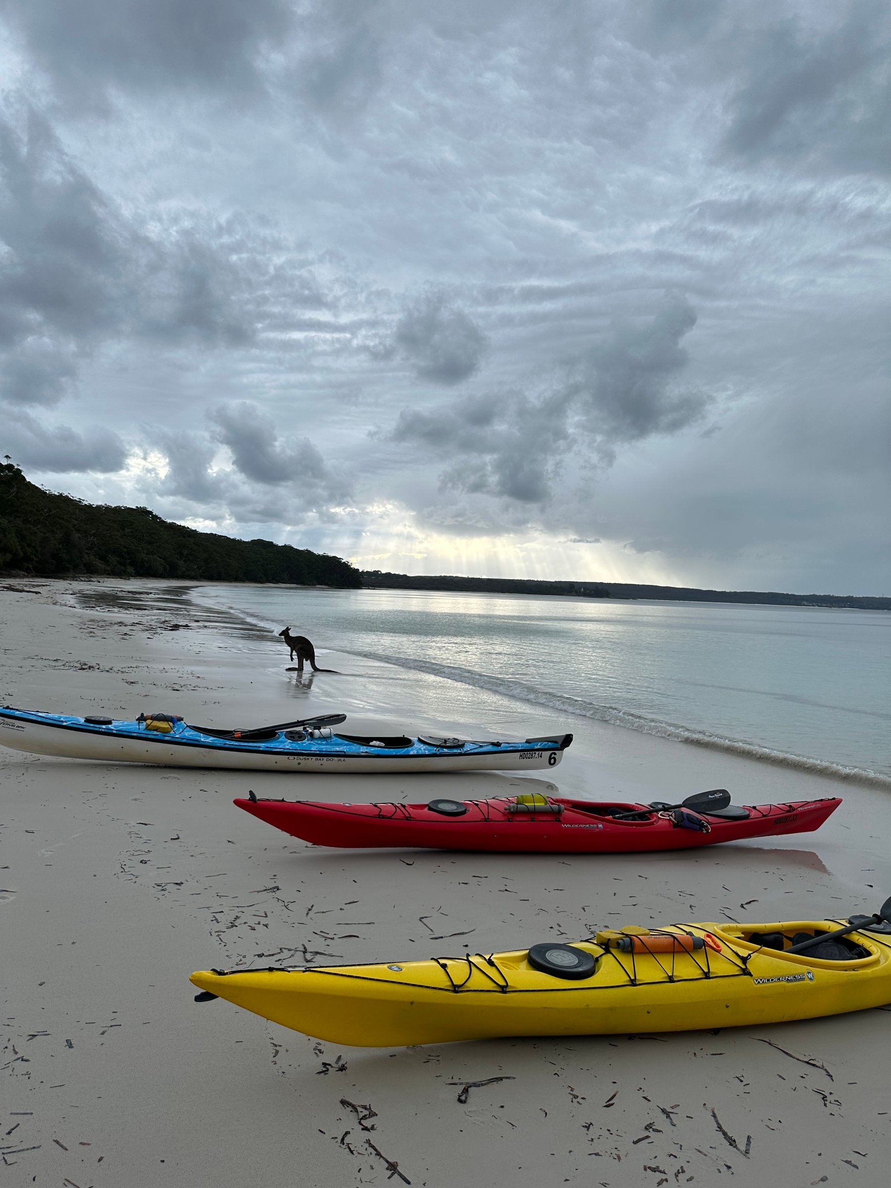 Sea Kayak Jervis Bay