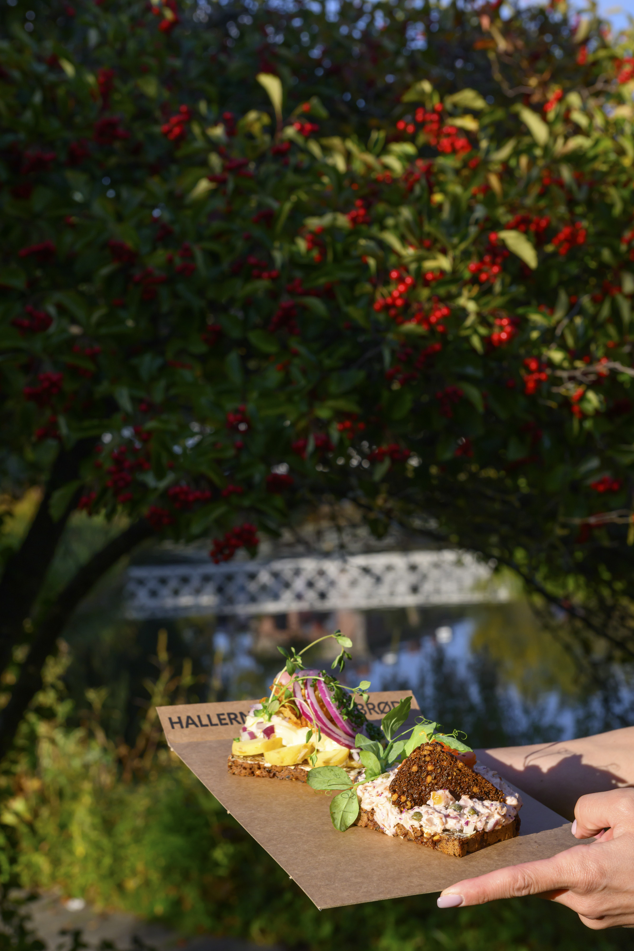Hallernes Smørrebrød - Tivoli