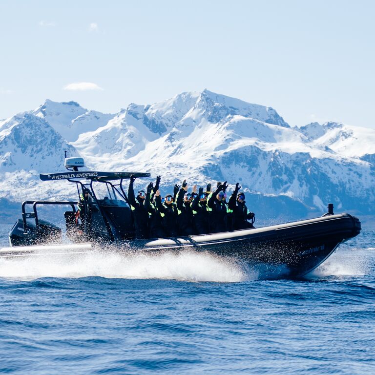 Vesterålen Adventures