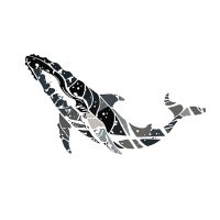 iGoAzores Tours & Experiences