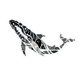 iGoAzores Tours & Experiences