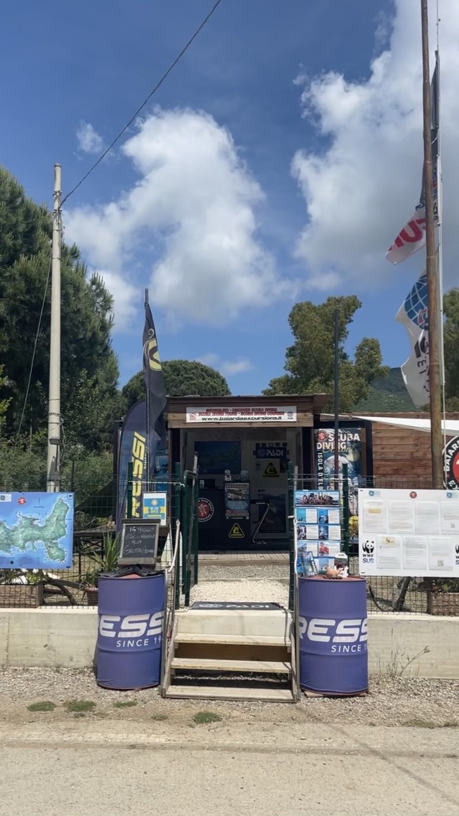 Baiarda Dive Boat Excursions