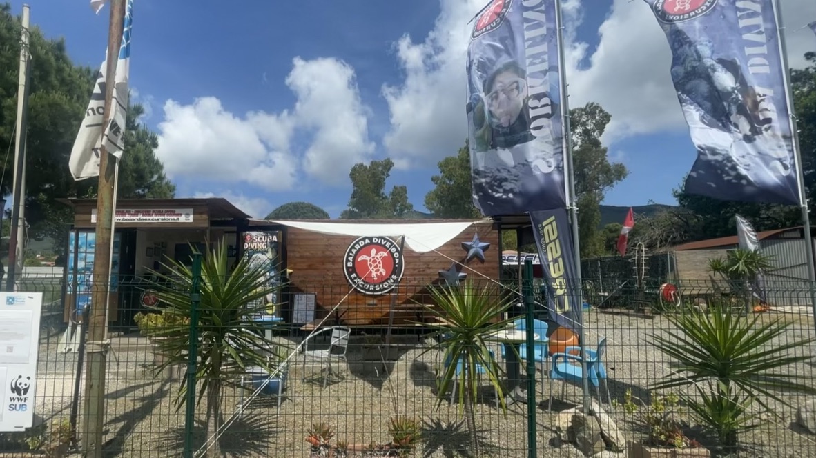 Baiarda Dive Boat Excursions