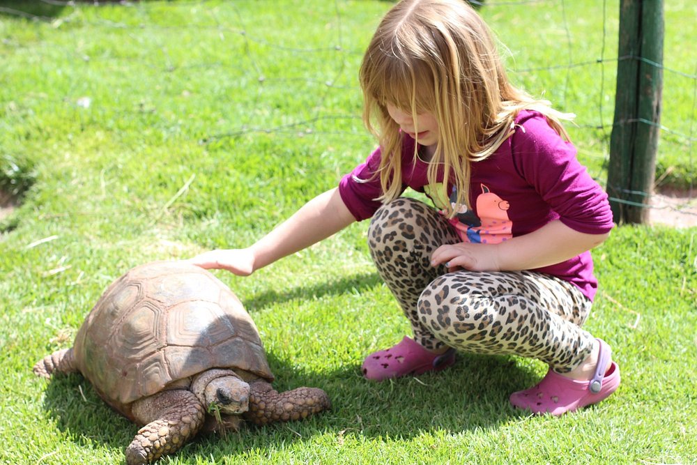 Cochahuasi Animal Sanctuary