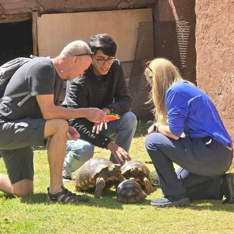 Cochahuasi Animal Sanctuary