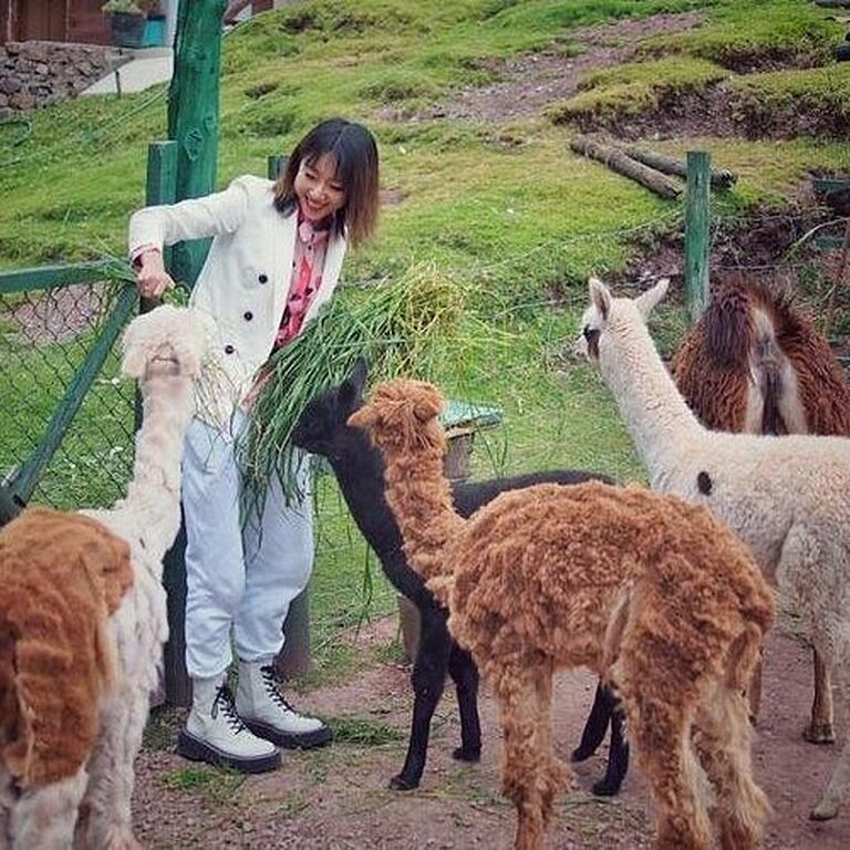 Cochahuasi Animal Sanctuary