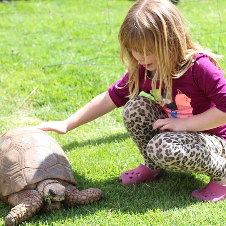Cochahuasi Animal Sanctuary