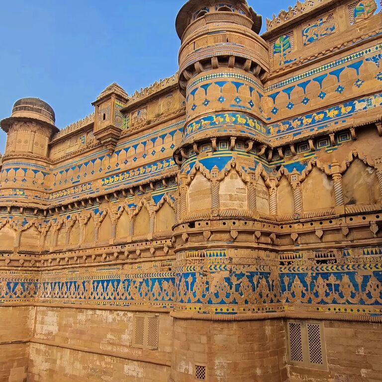 India Custom Tours
