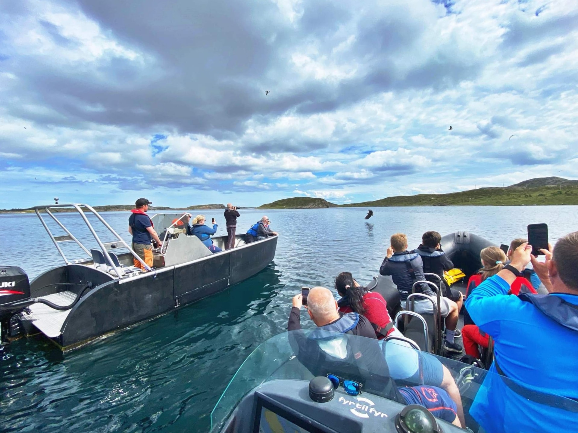 Sea Eagle Safari