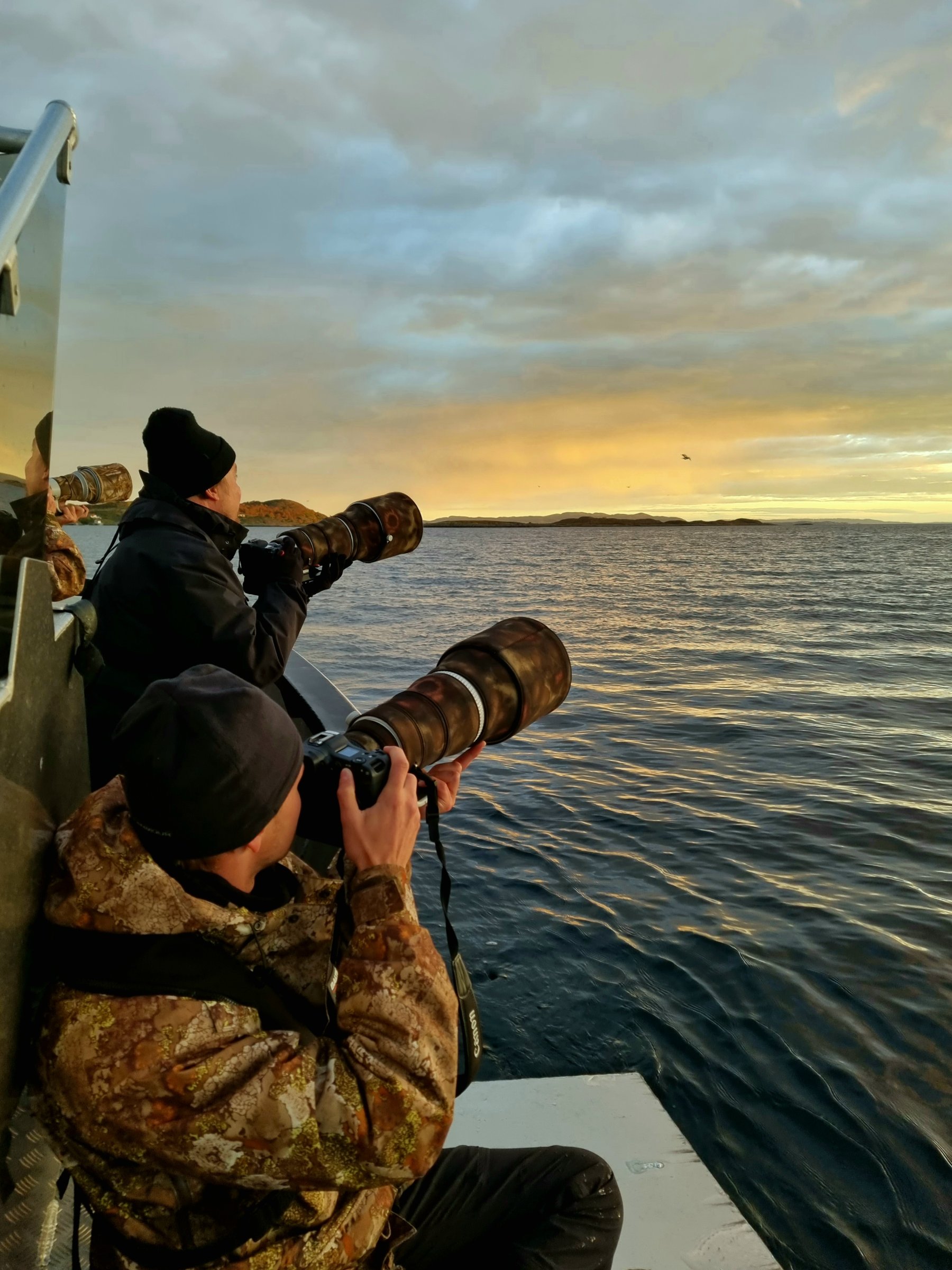 Sea Eagle Safari