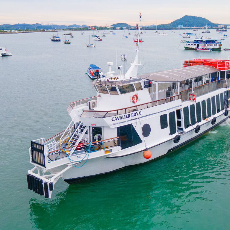 Canal and Bay Tours