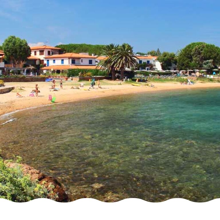 Worldrise SEATY Porto S. Paolo