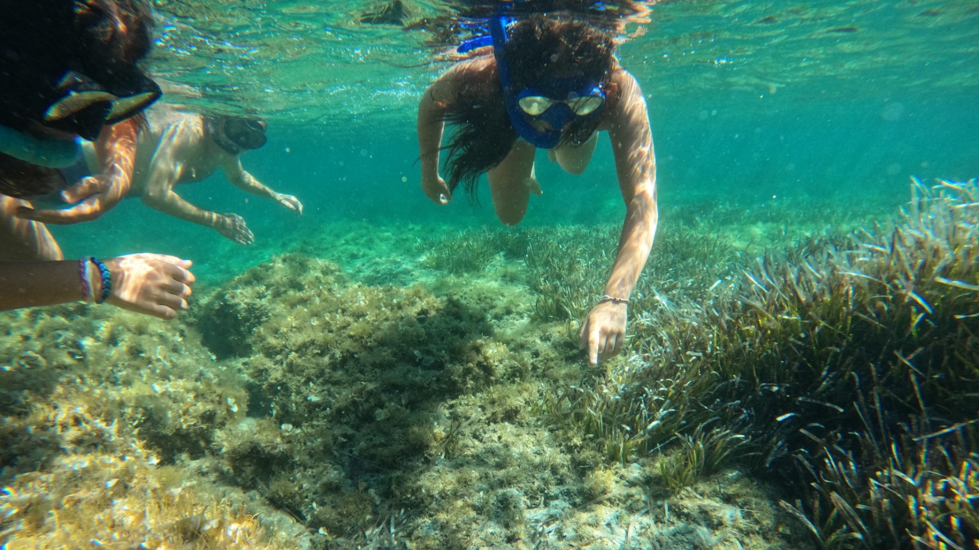 Worldrise SEATY AMP Asinara