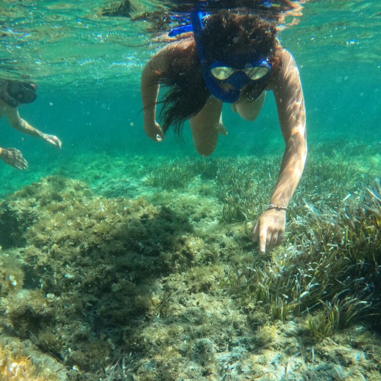Worldrise SEATY AMP Asinara