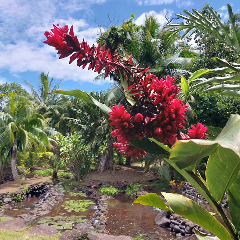 Tahiti Welcome Tours