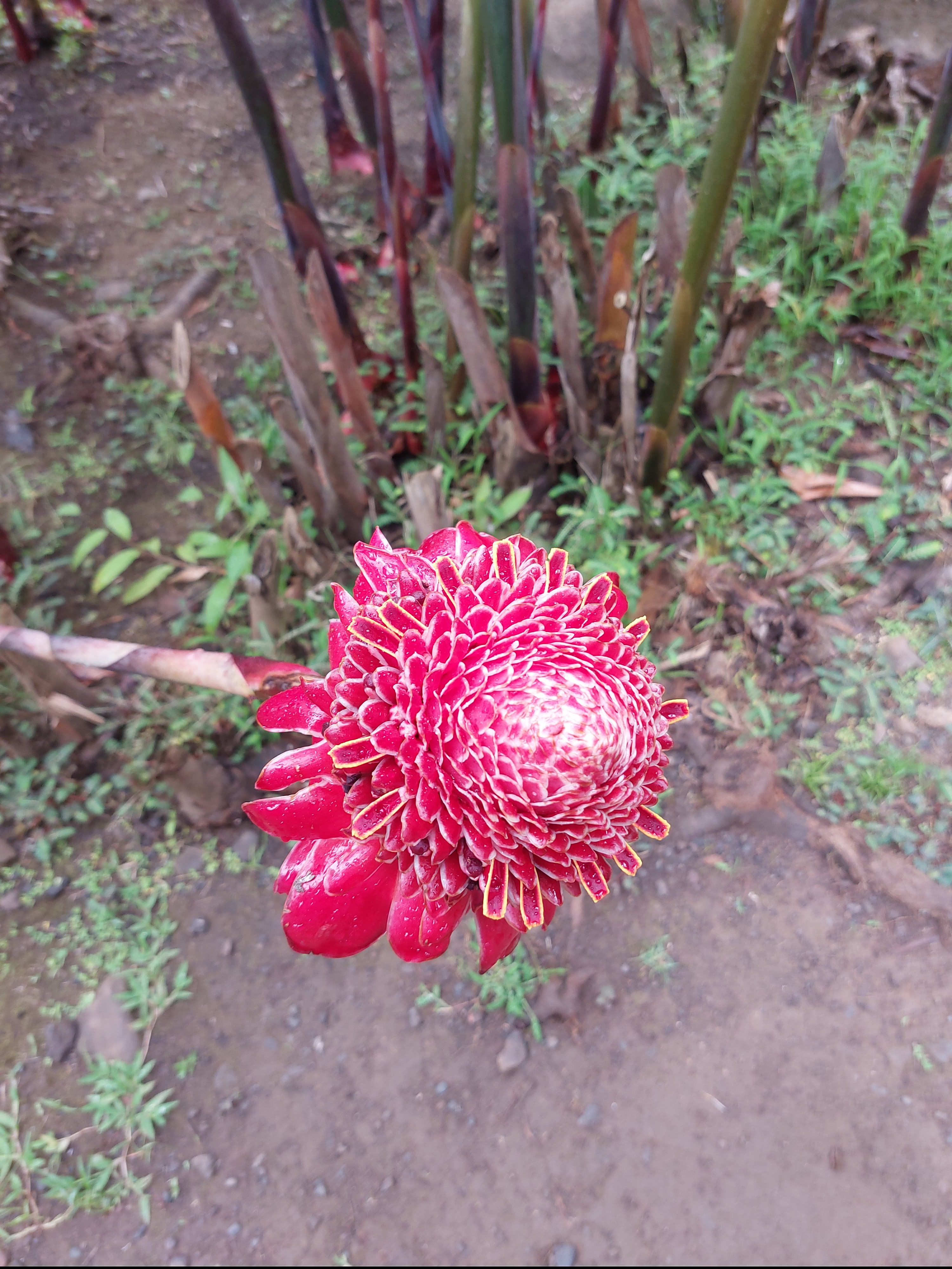 Tahiti Welcome Tours