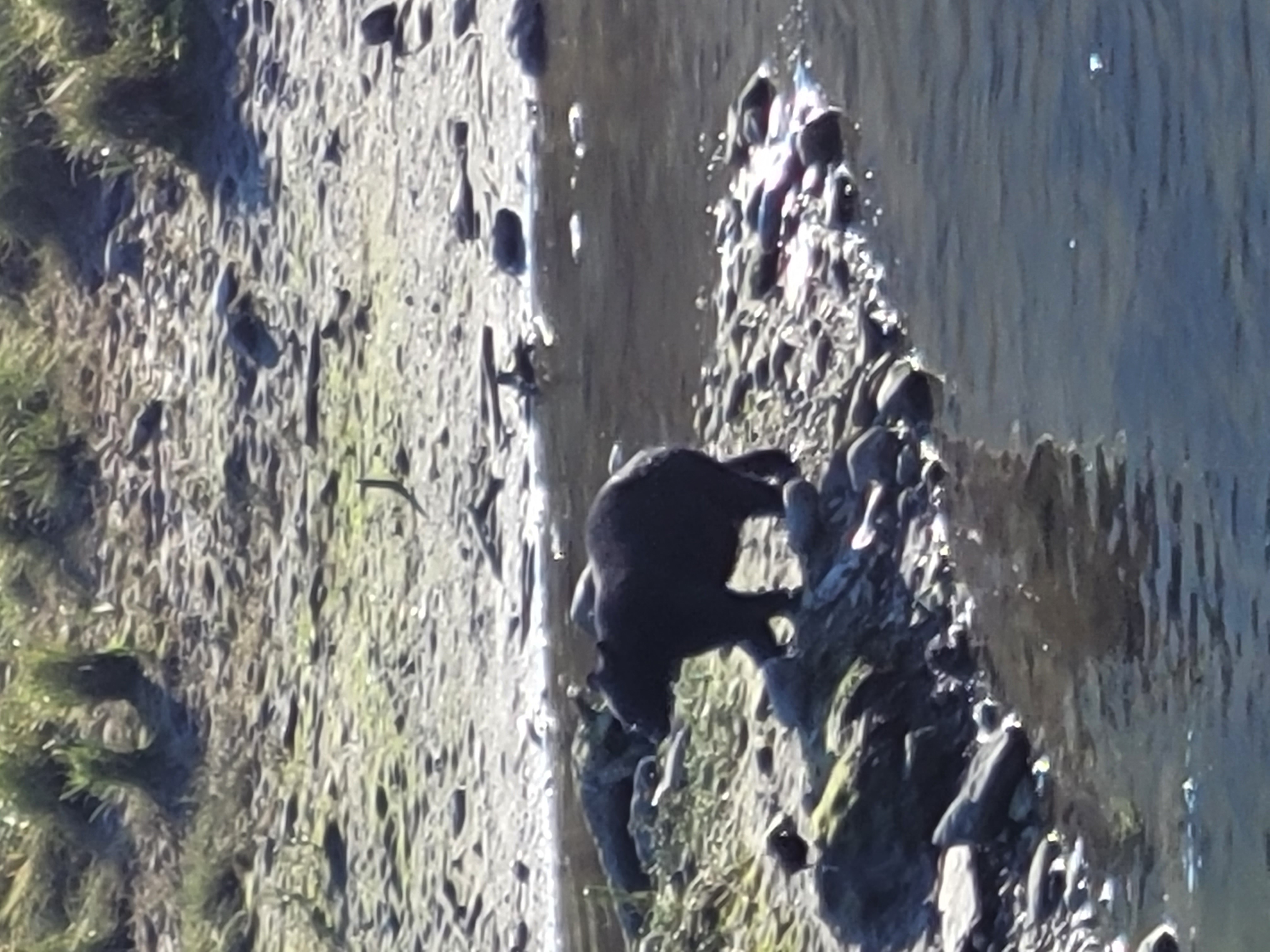 Average Alaskan Tours