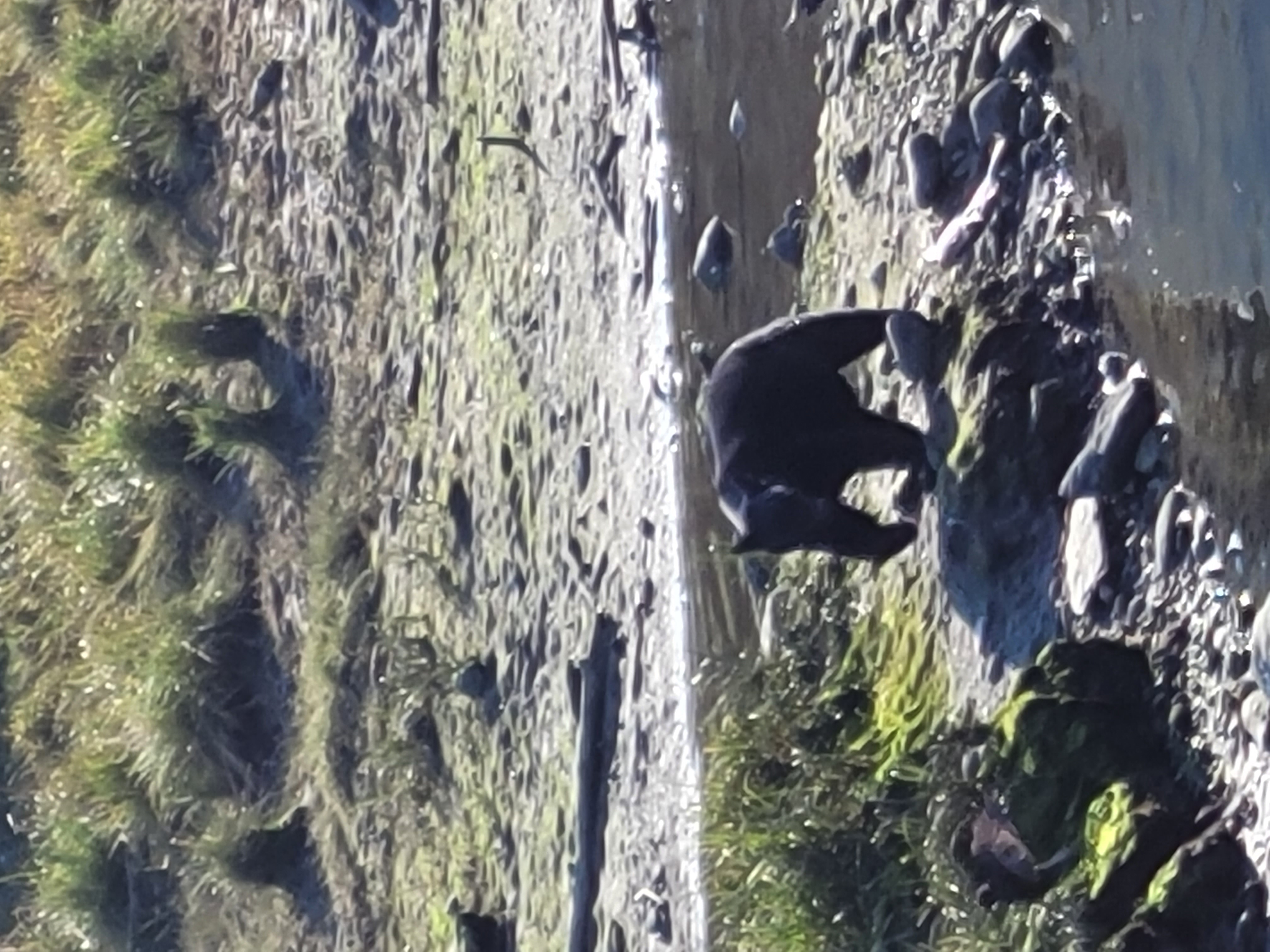 Average Alaskan Tours