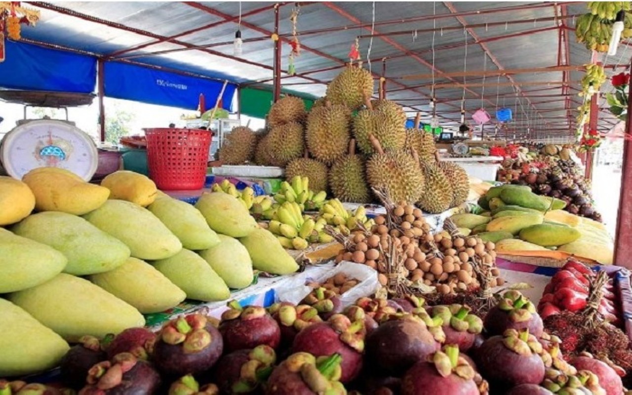 PHUKET-Phang-nga: Jungle Safari Bamboo Rafting and Elephant Trekking-Bahting-S1