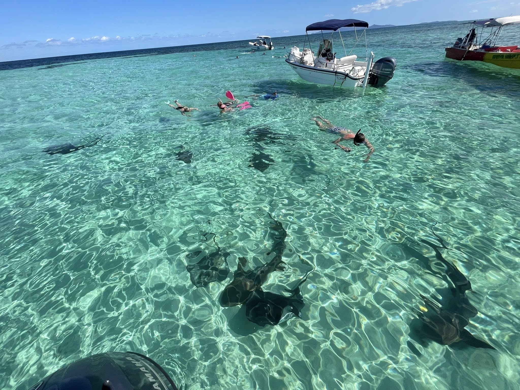 St Helene Tours & Adventures